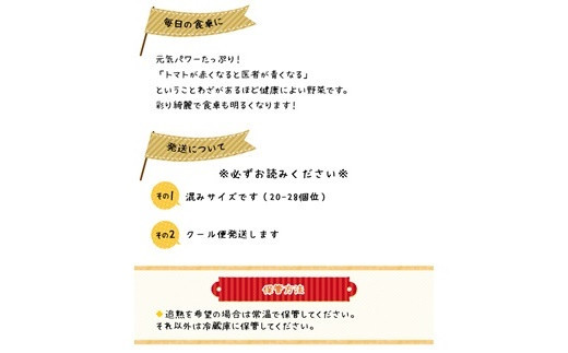 ＜早期予約・数量限定＞北海道ニセコ町 贅沢トマト4kg【2025年産】
