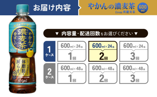 【2回定期便】やかんの濃麦茶 from 爽健美茶 600ml PET×24本（１ケース）合計48本