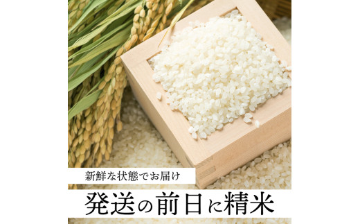 アイテムID:445945の画像7枚目