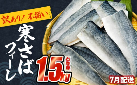 さば 〈 訳あり 〉7月配送 宮城県産 寒さば フィーレ 無塩 1.5kg 冷凍 魚 青魚 鯖 切身 焼魚 煮魚 わけあり 不揃い ご家庭用 食塩無添加 国産 鯖フィレ サバフィーレ 切り身 バラバラ冷凍 鯖の味噌味 宮城県 石巻市