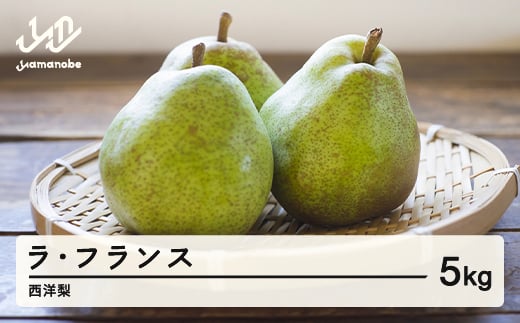 【先行予約】山形県産 西洋梨(ラ･フランス) 令和7年産 5kg tu-laxxx5 ※沖縄・離島配送不可 1429204 - 山形県山辺町