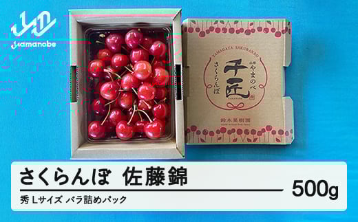 《先行予約》2025年 山形県産 さくらんぼ 佐藤錦 バラ詰め（パック） 500g 秀 L サクランボ フルーツ 果物 F21A-462 1175432 - 山形県山辺町