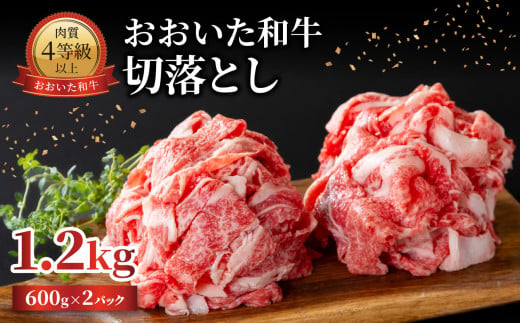 おおいた和牛 切落とし 1.2kg 牛肉 和牛 おおいた和牛 豊後牛 切り落とし 肉料理 霜降り 大分 赤身 炒め物 A01142 2024733 - 大分県大分市