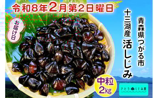 [令和8年2月第2日曜日配達] さとうしじみ屋の十三湖産活しじみ(中粒2kg)[冷蔵]｜十三湖産 青森 津軽 つがる しじみ みそ汁 味噌汁 しじみ汁 活しじみ 冷蔵 [0807] 1500688 - 青森県つがる市