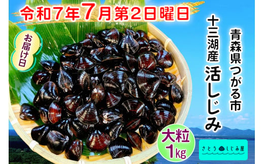 [令和7年7月第2日曜日配達] さとうしじみ屋の十三湖産活しじみ(大粒1kg)[冷蔵]｜十三湖産 青森 津軽 つがる しじみ みそ汁 味噌汁 しじみ汁 活しじみ 冷蔵 [0813]