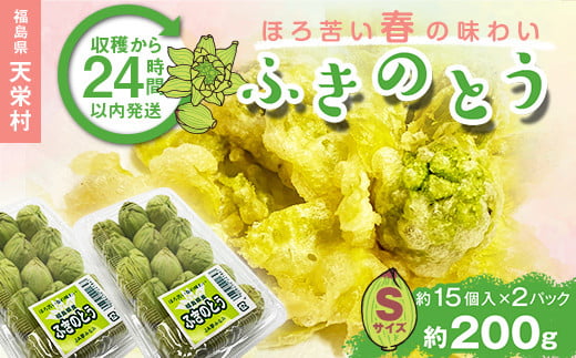 収穫から24時間以内に発送！ほろ苦い春の味わい「ふきのとう」Sサイズ200g（約30個） F21T-352