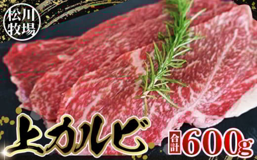 No.139 松川牧場のこだわり牛肉 上カルビ600g(おまかせ2部位) 253535 - 埼玉県鴻巣市