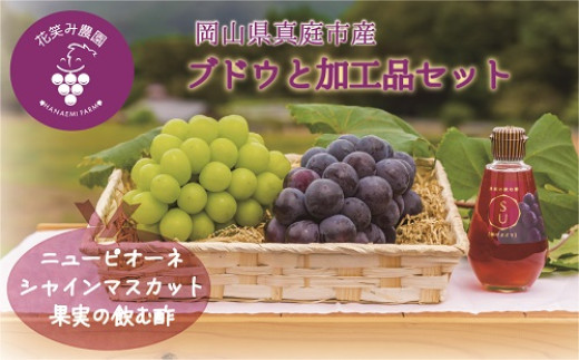 hana10-2.岡山　花笑み農園『ピオーネ＆シャインマスカット＆果実の飲む酢ピオーネ』  328699 - 岡山県真庭市