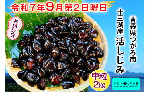 [令和7年9月第2日曜日配達] さとうしじみ屋の十三湖産活しじみ(中粒2kg)[冷蔵]｜十三湖産 青森 津軽 つがる しじみ みそ汁 味噌汁 しじみ汁 活しじみ 冷蔵 [0802]