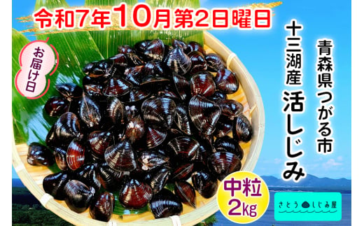 [令和7年10月第2日曜日配達] さとうしじみ屋の十三湖産活しじみ(中粒2kg)[冷蔵]｜十三湖産 青森 津軽 つがる しじみ みそ汁 味噌汁 しじみ汁 活しじみ 冷蔵 [0803]