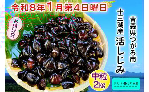 [令和8年1月第4日曜日配達] さとうしじみ屋の十三湖産活しじみ(中粒2kg)[冷蔵]｜十三湖産 青森 津軽 つがる しじみ みそ汁 味噌汁 しじみ汁 活しじみ 冷蔵 [0806] 1500687 - 青森県つがる市