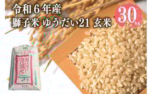 【令和6年産】獅子米 ゆうだい21 玄米30kg 岡田ファーム あなたが選ぶ日本一おいしい米コンテスト 最優秀金賞 受賞 お米 米 おこめ ブランド米 30キロ 国産 単一原料米 コメ こめ ご飯 銘柄米 茨城県産 茨城 産直 産地直送 農家直送 ごはん 家庭用 贈答用 お取り寄せ ギフト 茨城県 石岡市 (G433)  1079456 - 茨城県石岡市