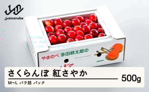 《先行予約》2025年 山形県産 紅さやか バラ詰め(パック）500g M～L やまのべ多田耕太郎のさくらんぼ サクランボ F21A-393 881427 - 山形県山辺町