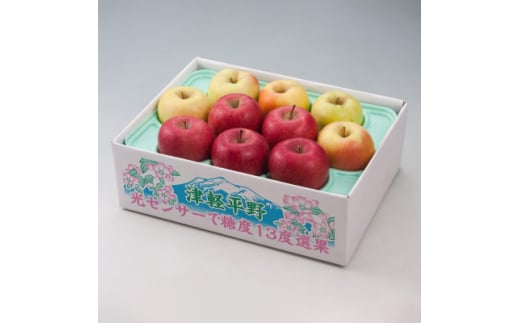 <令和7年産・先行予約>糖度13度選果サンふじ&名月りんご 約2.5kg鮮度保持剤・保存用ポリ袋付【1508224】 1391125 - 青森県黒石市