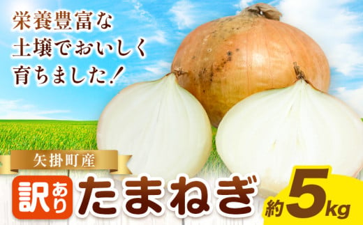 玉ねぎ 矢掛町産 訳あり 玉ねぎ 約5kg 《5月末～7月中旬頃に出荷予定》 約 5kg 野菜 岡山県 矢掛町 たまねぎ 大きさ不揃い 訳ありたまねぎ