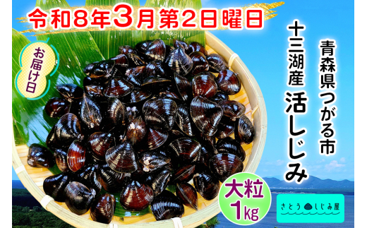 [令和8年3月第2日曜日配達] さとうしじみ屋の十三湖産活しじみ(大粒1kg)[冷蔵]｜十三湖産 青森 津軽 つがる しじみ みそ汁 味噌汁 しじみ汁 活しじみ 冷蔵 [0821] 1500695 - 青森県つがる市