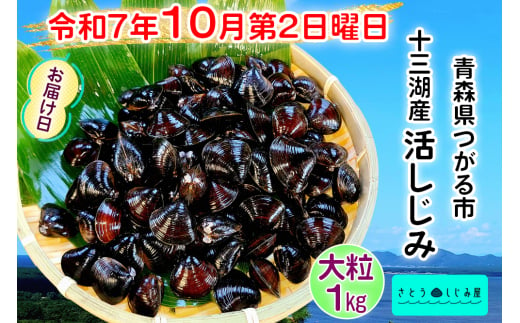 [令和7年10月第2日曜日配達] さとうしじみ屋の十三湖産活しじみ(大粒1kg)[冷蔵]｜十三湖産 青森 津軽 つがる しじみ みそ汁 味噌汁 しじみ汁 活しじみ 冷蔵 [0816]