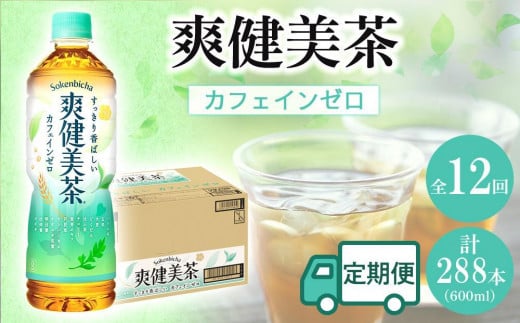 定期便 毎月 全12回 爽健美茶 600ml × 24本 １ケース 12ヶ月定期便 2017562 - 和歌山県海南市