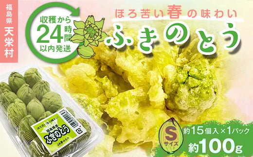 収穫から24時間以内に発送！ほろ苦い春の味わい「ふきのとう」Sサイズ1パック100g（約15個） F21T-351