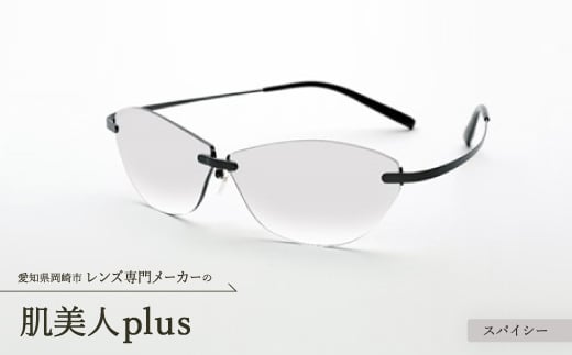 肌美人plus スパイシー【1203220】 857838 - 愛知県岡崎市