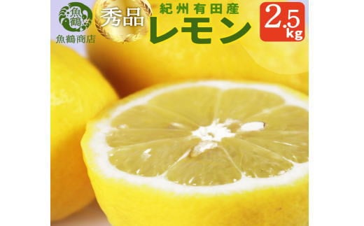 秀品　紀州有田産レモン　約2.5kg【予約】 レモン れもん 果物 柑橘【2026年3月上旬頃〜2026年3月中旬頃に順次発送予定(お届け日指定不可)】 2020538 - 和歌山県かつらぎ町