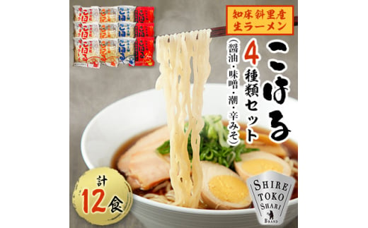 生麺「こはる」12食(4種×3食ずつ)セット【1597745】