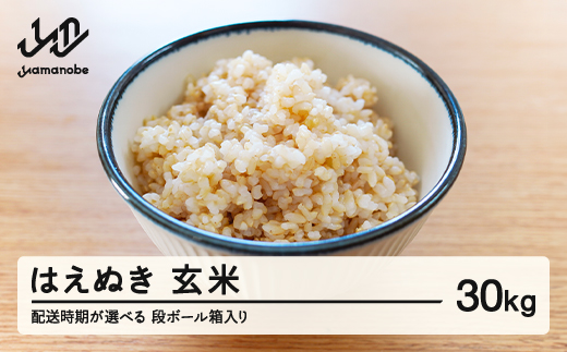 【配送時期が選べる】《先行予約》 2025年産 令和7年産 山形県産 はえぬき 玄米 30kg（段ボール箱入り）（2025年10月後半にお届け）お米 ブランド米 こめ コメ ※沖縄・離島への配送不可 ff-hagxb30-10s 1395467 - 山形県山辺町