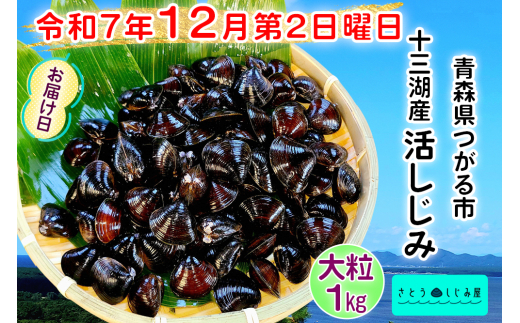 [令和7年12月第2日曜日配達] さとうしじみ屋の十三湖産活しじみ(大粒1kg)[冷蔵]｜十三湖産 青森 津軽 つがる しじみ みそ汁 味噌汁 しじみ汁 活しじみ 冷蔵 [0818] 1500692 - 青森県つがる市