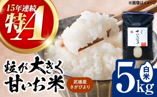 【15年連続特A評価】武雄市産 さがびより 5kg /株式会社 y's company（utsu和ya） [UDX016]