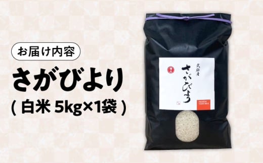 【15年連続特A評価】武雄市産 さがびより 5kg /株式会社 y's company（utsu和ya） [UDX016]