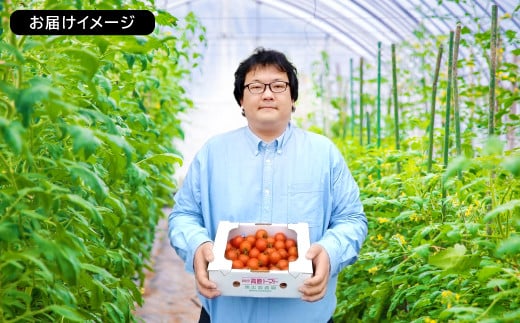 奥出雲高原中玉サイズミディトマト　1.3㎏