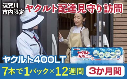 ＜須賀川市内限定＞ヤクルト配達見守り訪問 ヤクルト400LT(3か月間) F7X-0252 695458 - 福島県須賀川市