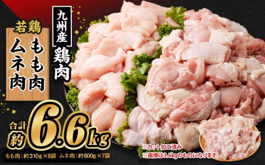 九州産若鶏 もも肉（約310g×8袋） 若鶏むね肉（約600g×7袋）合計約6.6kg セット 鶏肉 鶏もも肉 鶏むね肉 小分け 九州産 国産 冷凍 2020517 - 熊本県高森町