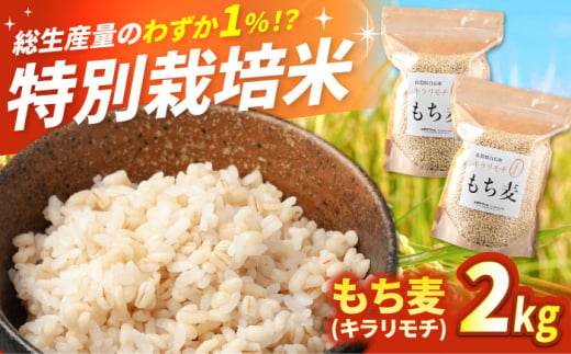 【令和7年度産】もち麦（キラリモチ）2kg 【有限会社定松ファーム】 [IBV007]