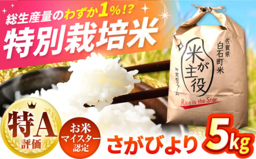 【令和7年度産】【こだわりの特別栽培！】 さがびより 5kg 【有限会社定松ファーム】 [IBV001]