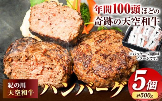 肉 黒毛和牛 ハンバーグ 天空和牛ハンバーグ 約500g (約100g×5個)《30日以内に出荷予定(土日祝除く)》有限会社松牛 和歌山県 紀の川市 熊野牛 紀の川天空和牛 惣菜 おかず