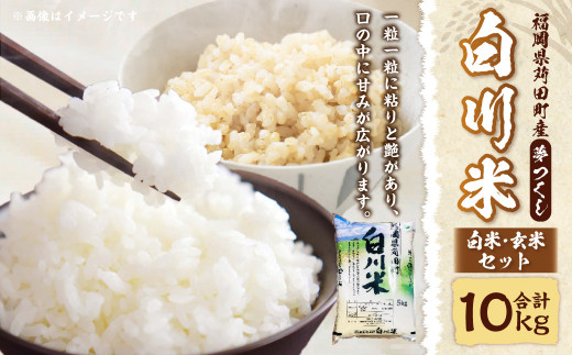 【新米先行予約】白川米 ( 夢つくし )  白米 ・ 玄米 セット 合計10kg お米 精米【2025年10月下旬から順次発送予定】