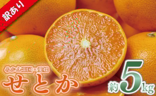 訳あり せとか  約5kg 愛媛みかん 家庭用 せとか セトカ みかん ミカン 蜜柑 mikan 高級柑橘 果物 くだもの フルーツ デザート 果実 青果 国産 産地直送 愛媛県 松山市 1217406 - 愛媛県松山市