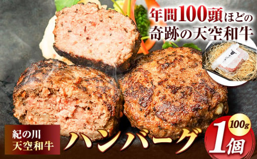 肉 黒毛和牛 ハンバーグ 天空和牛ハンバーグ 1個 (約100g) 《30日以内に出荷予定(土日祝除く)》有限会社松牛 和歌山県 紀の川市 熊野牛 紀の川天空和牛 惣菜 おかず