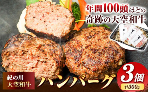 肉 黒毛和牛 ハンバーグ 天空和牛ハンバーグ 約300g (約100g×3個)《30日以内に出荷予定(土日祝除く)》有限会社松牛 和歌山県 紀の川市 熊野牛 紀の川天空和牛 惣菜 おかず