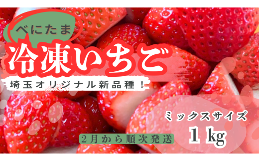 [新品種べにたま]冷凍いちご1kg 人気 どらちゃん農園 希少国産 埼玉県 川島町産 ミックスサイズ1kg 完熟いちご 冷凍いちご 期間限定