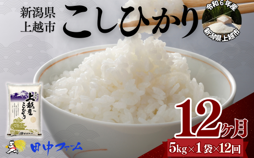 上越市産 新潟 コシヒカリ　5kg 12か月定期便  上越市 精米 米 コメ こしひかり ブランド米