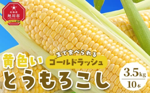 【先行予約】旭川近郊産　黄色いとうもろこし（ゴールドラッシュ）3.5kg（10本） _04842 2020406 - 北海道旭川市