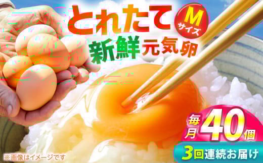 【3回定期便】お茶と海藻で健康育ち 元気卵 120個（40個×3回） / たまご タマゴ 玉子 鶏卵 / 亀山市 / 藪本養鶏園  [AMBH005] 1677431 - 三重県亀山市