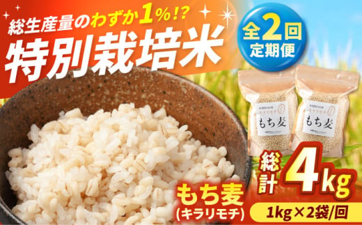 【令和7年度産】【全2回定期便】もち麦（キラリモチ）計4kg（2kg×2回） 【有限会社定松ファーム】 [IBV008]