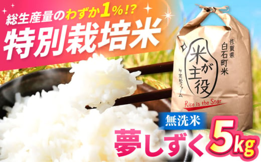 【令和7年度産】【こだわりの特別栽培！】 無洗米 夢しずく 5kg 【有限会社定松ファーム】 [IBV004]