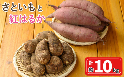 [先行予約受付中!10月上旬〜2月下旬発送予定]さといもと紅はるかのセット(約10kg)[sm-DI003][大原茂美]