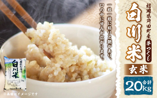 【新米先行予約】白川米 ( 夢つくし )  玄米 合計20kg（5kg×4袋）【2025年10月下旬から順次発送予定】