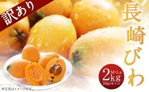 【傷ありのため訳あり】 長崎びわ 2kg（250g×8パック） M～Lサイズ 【2025年5月下旬～6月上旬迄発送予定】 880789 - 長崎県時津町
