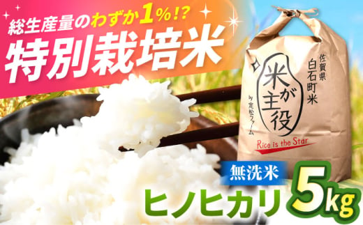 【令和7年度産】【こだわりの特別栽培！】　無洗米　ヒノヒカリ 5kg 【有限会社定松ファーム】 [IBV006]